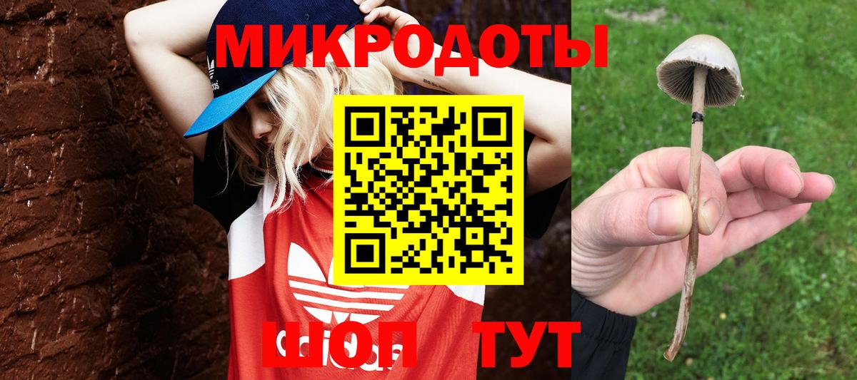 Электросталь  Галлюциногенные грибы ЛСД  Псилоцибиновые грибы Magic Shrooms  Вход с VPN 