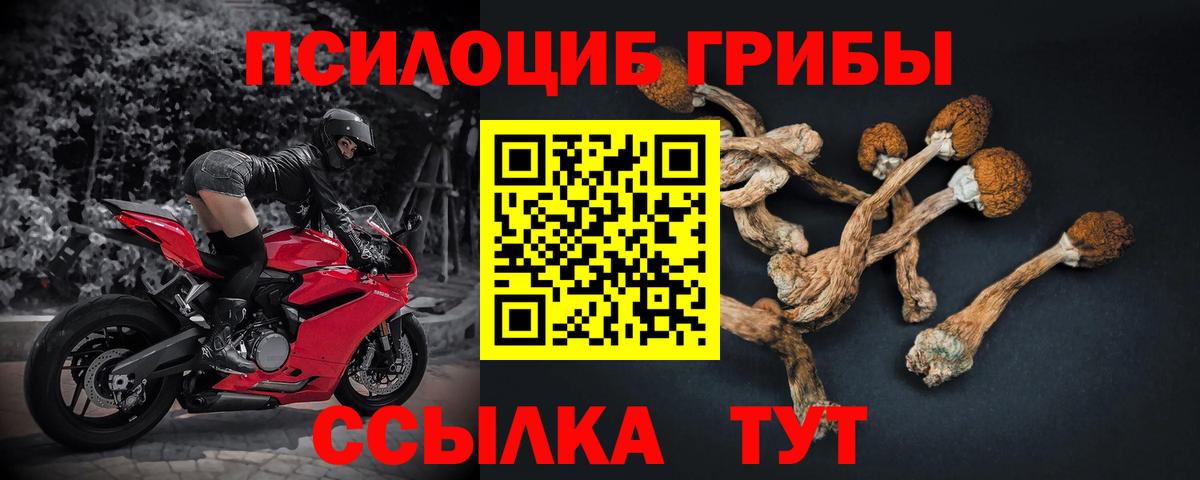Псилоцибиновые грибы Magic Shrooms Электросталь